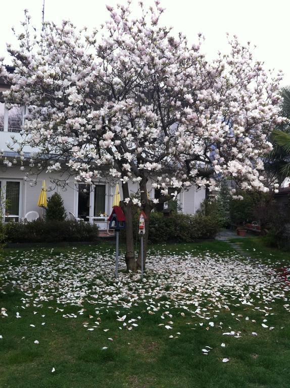 شقة Casa Angela لوكارنو الغرفة الصورة